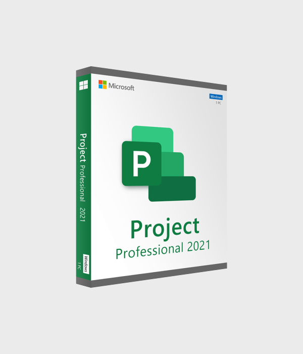Project 2021 Professional