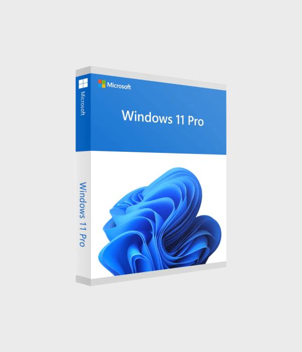 Windows 11 Professional