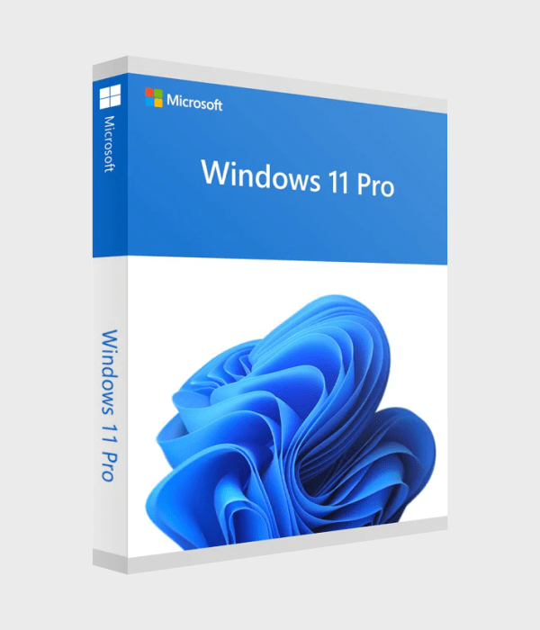 Windows 11 Professional - Imagen 2