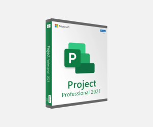 Project 2021 Professional