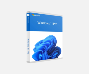 Windows 11 Professional